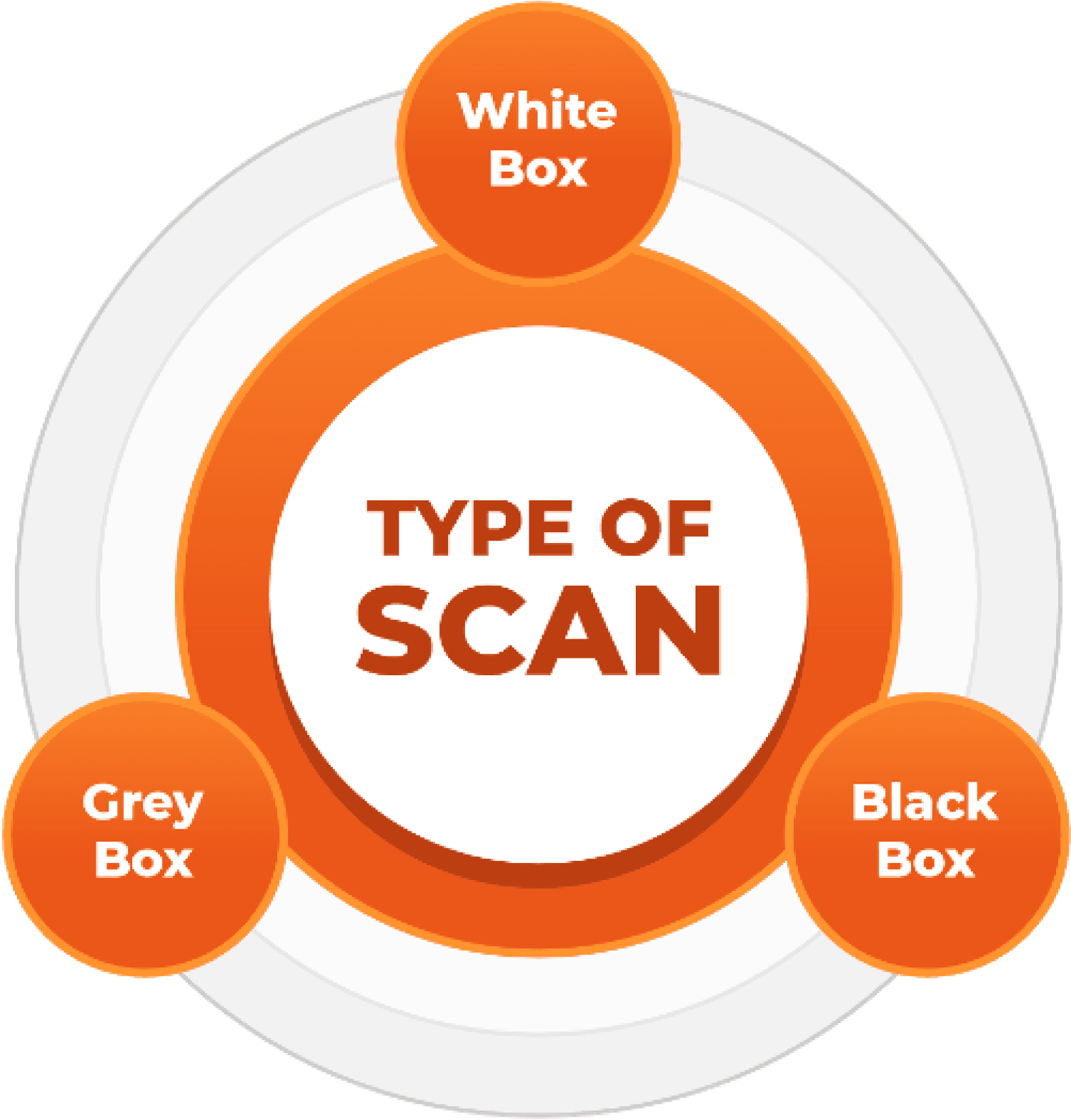 type of scan